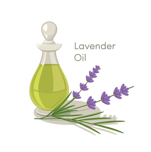 lavender oil