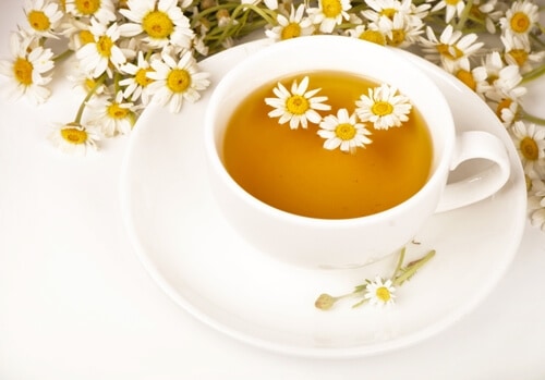 Chamomile