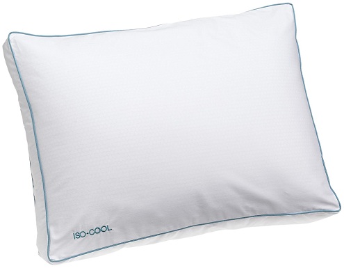 Polyester Pillow