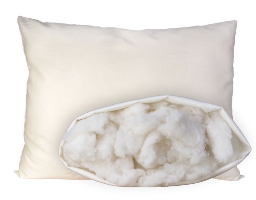 Organic Cotton Pillow