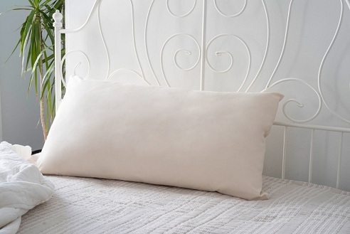 Standard Cotton Pillow