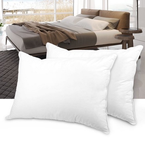 Cotton Plush Down Bed Pillows