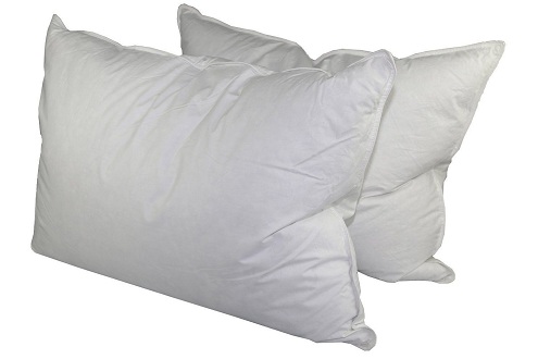 White Goose Feather Pillows