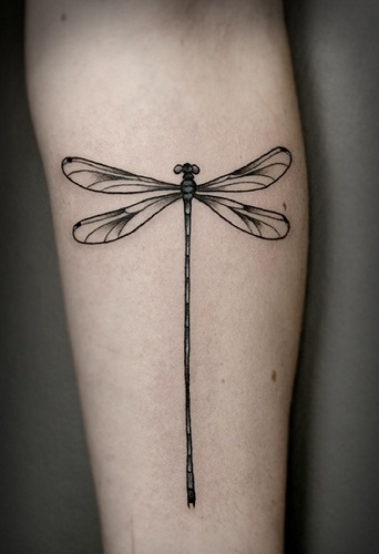 Dragonfly Tattoos