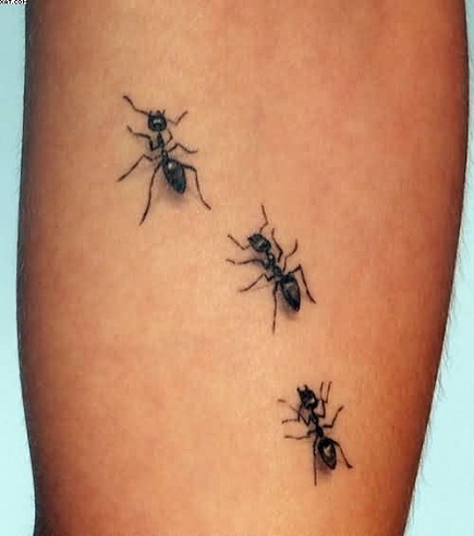 Ant Tattoos