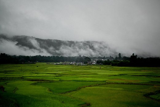 Ziro Valley