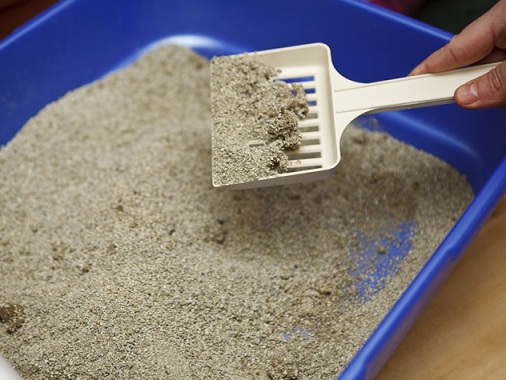 Place Kitty Litter to Get Rid of Mice