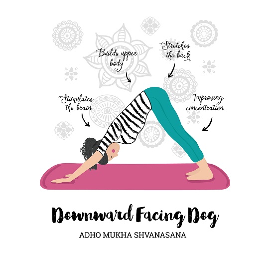 Adho Mukho Svanasana (Downward Facing Dog Pose)