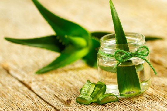 aloe vera for cancer treatment