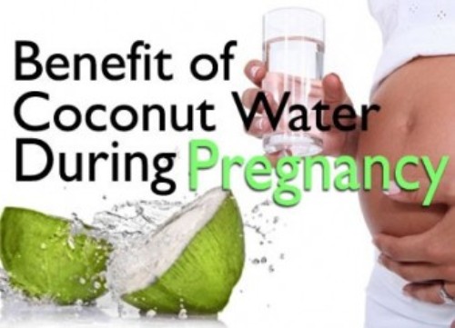 Coconut Water During Pregnancy 1