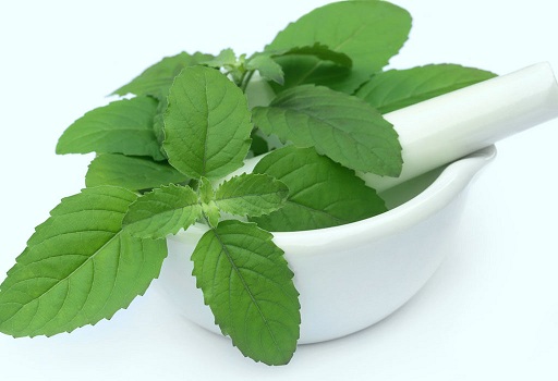 Mint Ayurvedic Treatment for Pimples