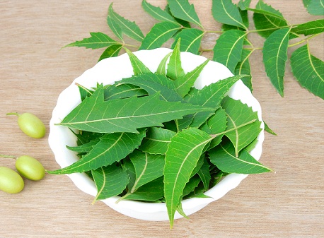 How to Remove Pimple in One Day-neem leaves