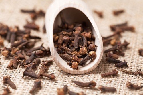 Clove Oil While Pregnant-Possible Side Effects