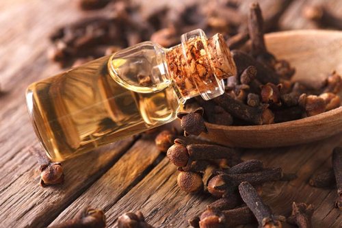 Clove Oil While Pregnant