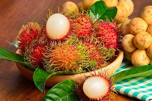 Rambutan During Pregnancy 2