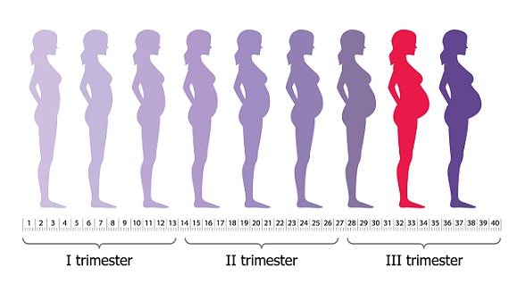 foods to avoid-8th Month Pregnancy