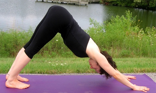 Downward Facing Dog Pose (Adho Mukho Svanasana)