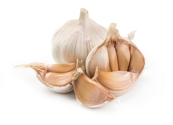 Garlic