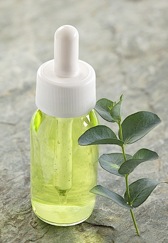 Eucalyptus Oil