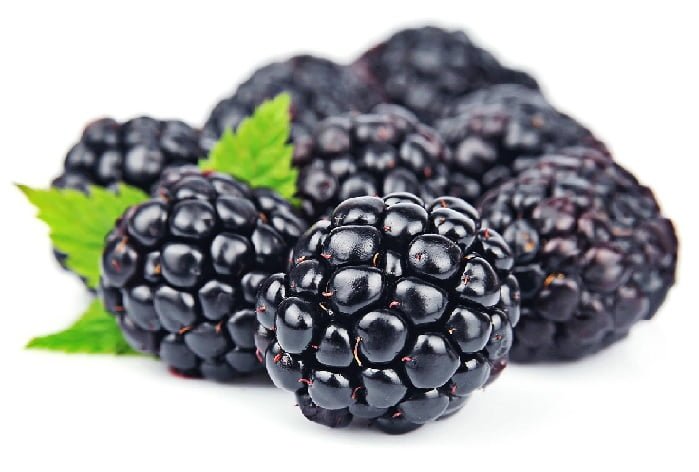 blackberry during pregnancy