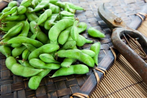 Edamame During Pregnancy 2