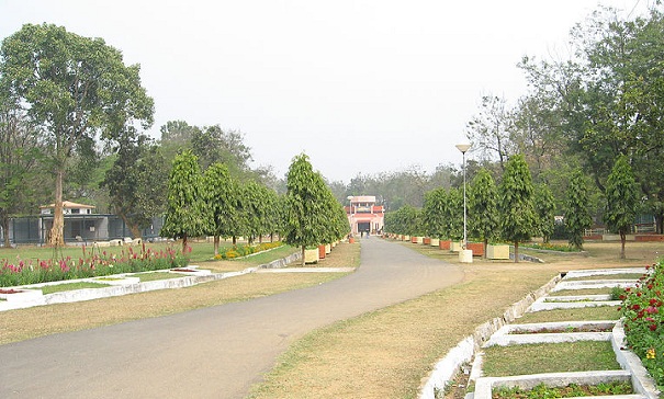 parks-in-jharkhand-jawaharlal-nehru-biological-park