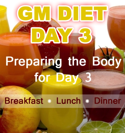 Gm Diet Day 3