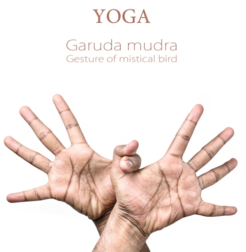 Garuda Mudra