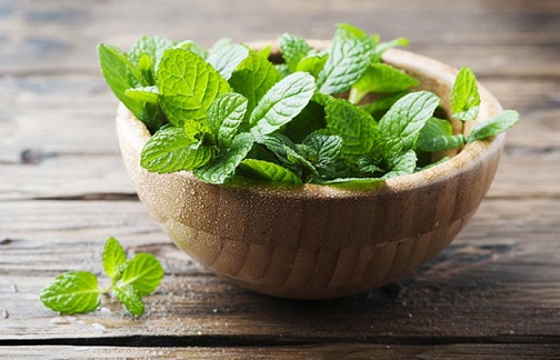 Peppermint Leaves