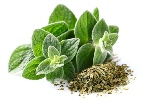 Greek Beauty Tips and Secrets-Eating oregano