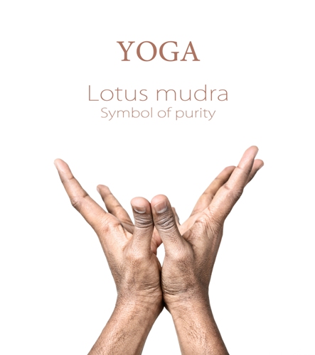 Lotus mudra 7456