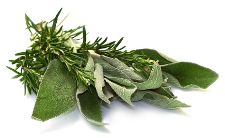 Rosemary and sage to prevent premature hair greying