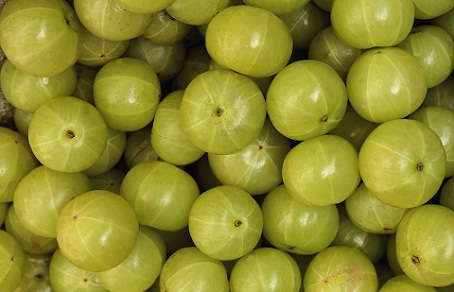 Amla for premature hair greying