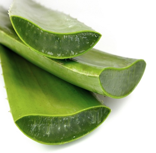 Aloe Vera to Reduce Wrinkles On Face