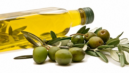 Olive Oil for Straighten Your Curly Hair