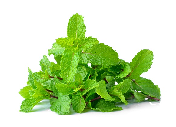 mint leaves 1