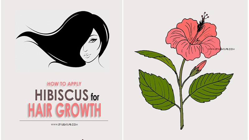 Hibiscus For Hair Growth