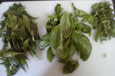 Tulsi, Neem and Mint Face Pack