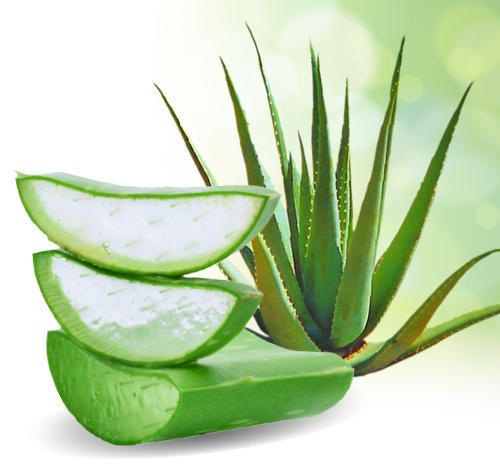 aloe vera for forehead acne