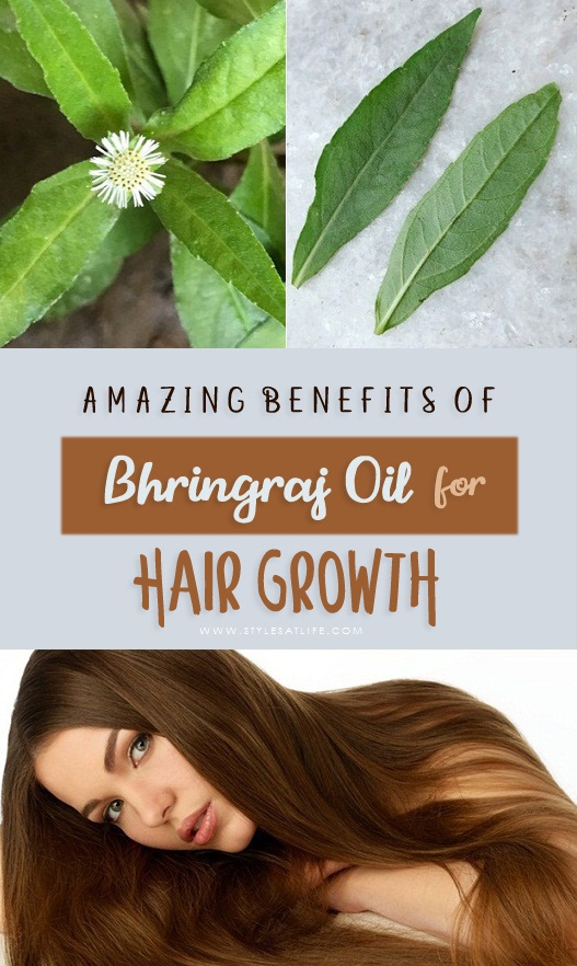 Bhringraj Oil for Hair Growth