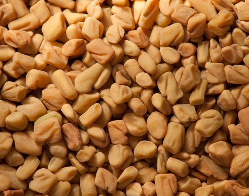 Fenugreek (Methi) For Hair Growth 1