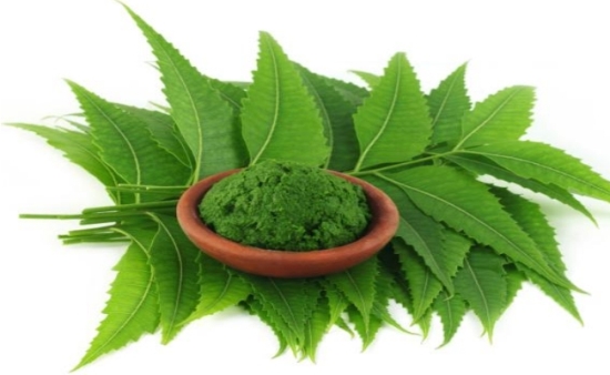 Neem Leaves