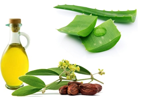 Aloe Vera and Jojoba Oil