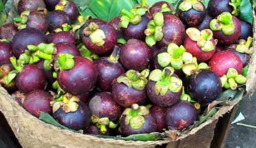 Mangosteen During Pregnancy 2