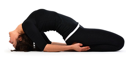 Some General Benefits of Matsyasana or The Fish Pose