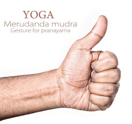 Merudanda Mudra