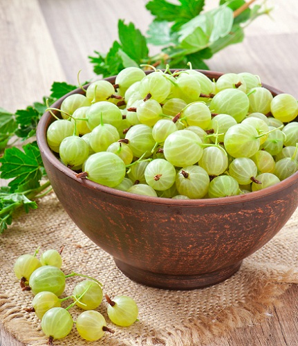 indian gooseberry