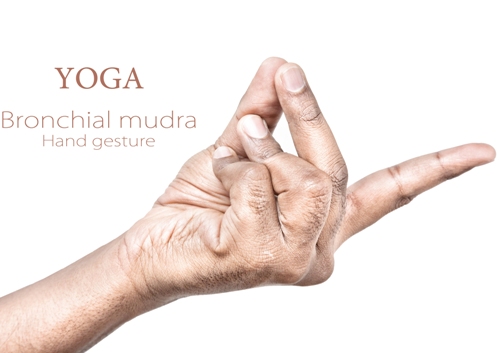 bronchial mudra 7865