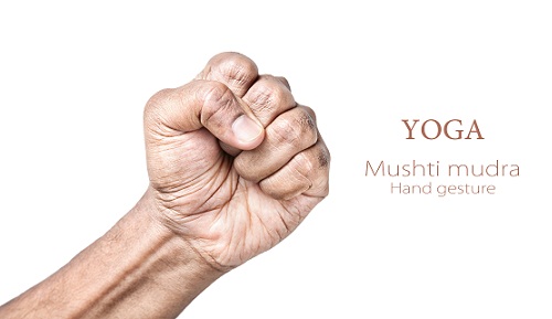 Mushti Mudra