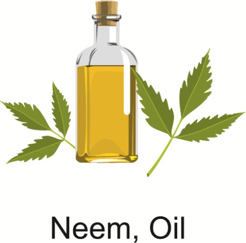 neem oil